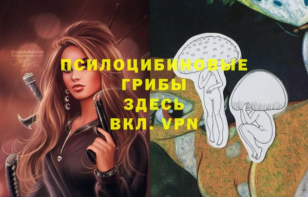 MDMA Алексин