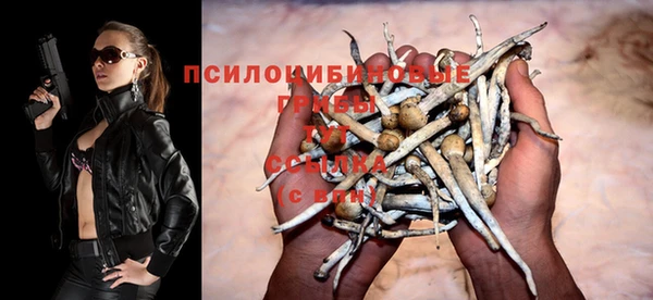 трава Алзамай