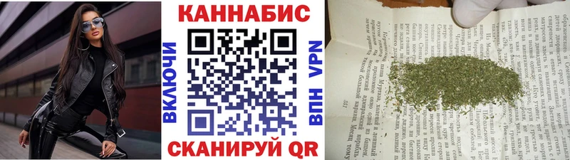 Канабис конопля Кольчугино